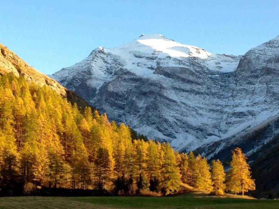 Gîtes de France N°73G47192 (CHALET LE SERAC)