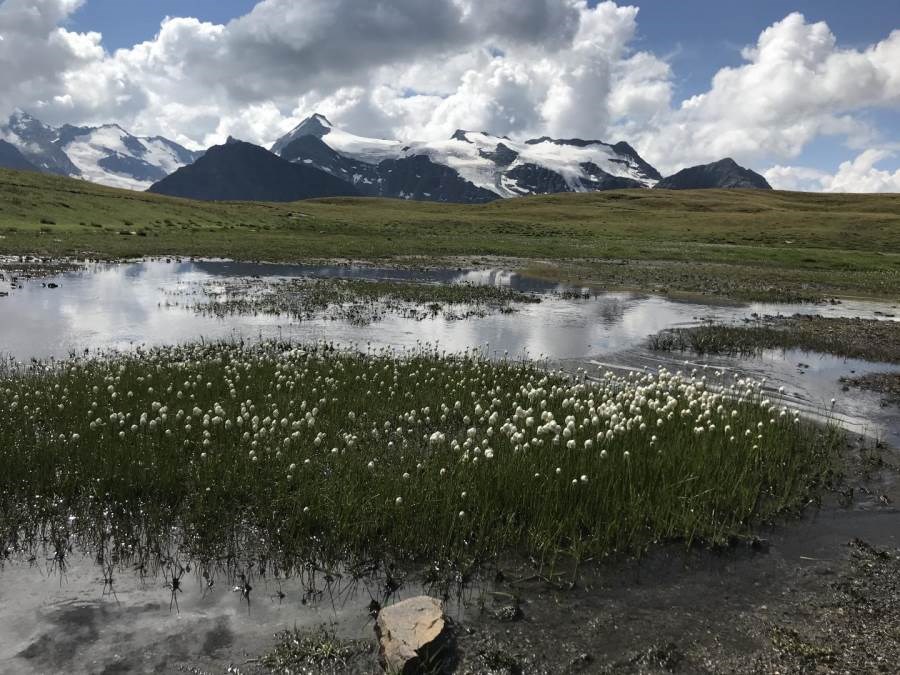 Gîtes de France N°73G47200 (LA BARME - MARMOTTE)