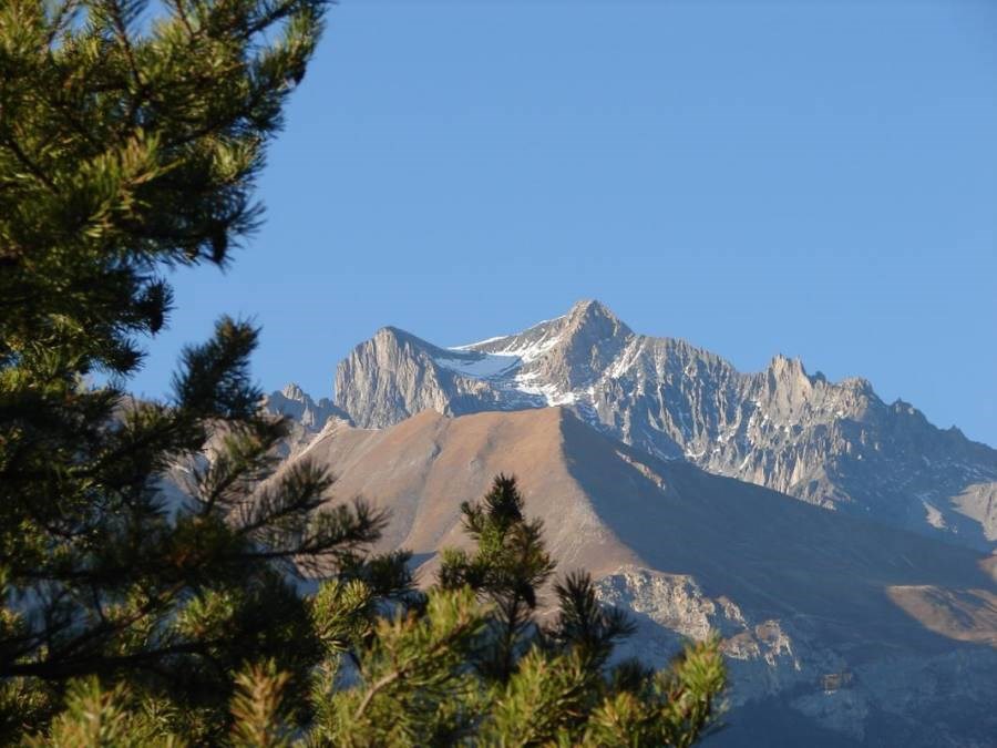 Gîtes de France N°73G56103 (LE BOUQUETIN)