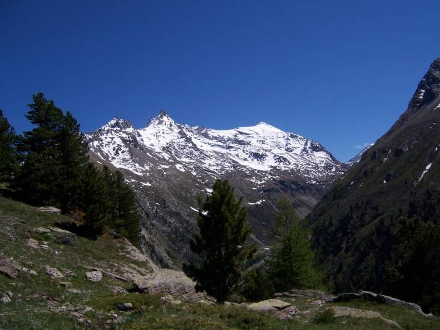 Gîtes de France N°73G56118 (LE BOSSATE)