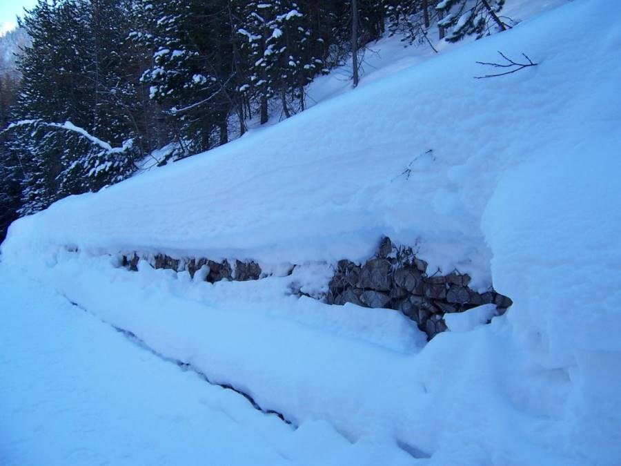 Gîtes de France N°73G56118 (LE BOSSATE)