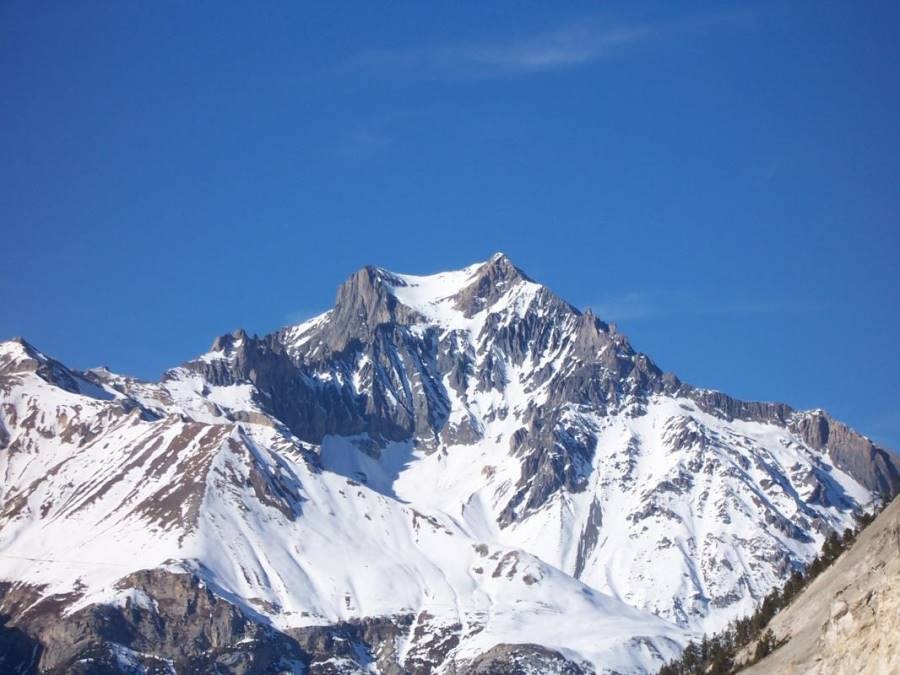 Gîtes de France N°73G56118 (LE BOSSATE)