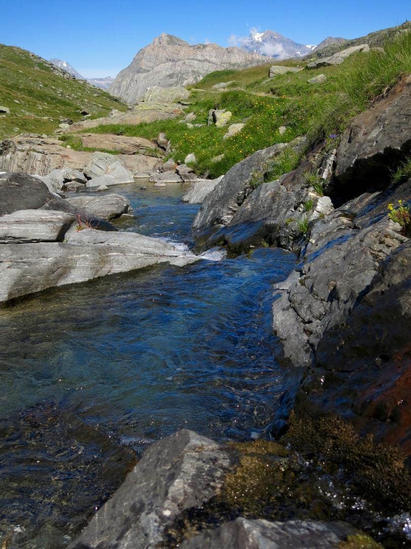 Gîtes de France N°73G56118 (LE BOSSATE)