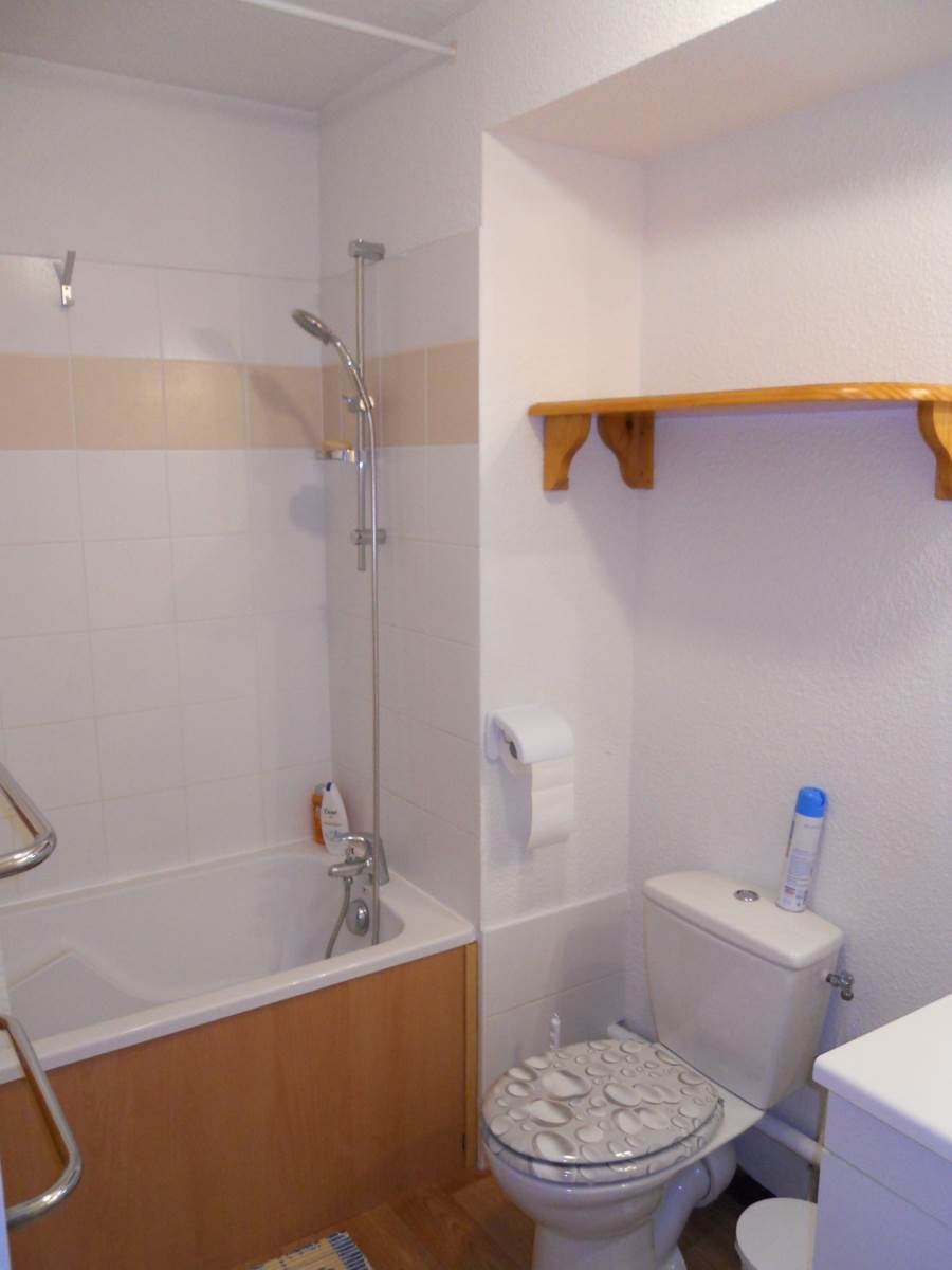 LES BALCONS DE LA VANOISE