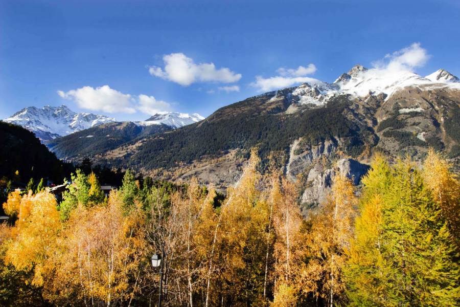 LE GRAND VALLON