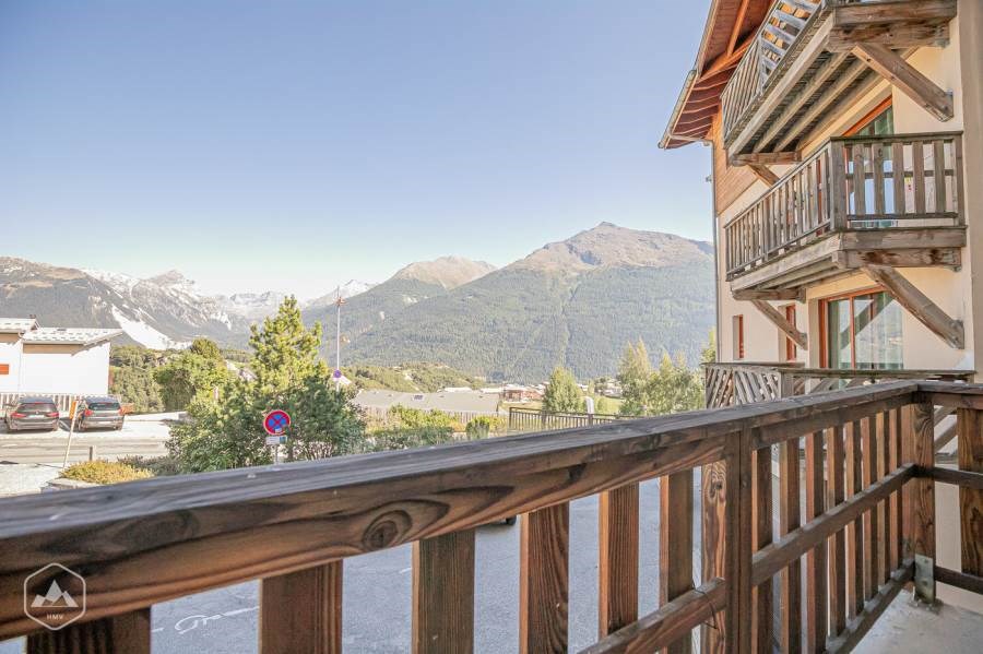 LES FLOCONS D'ARGENT