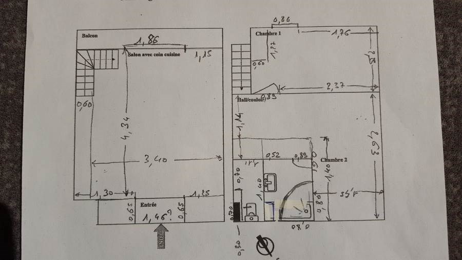 LES FLOCONS D'ARGENT