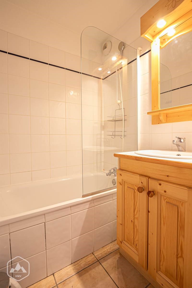 LES FLOCONS D'ARGENT