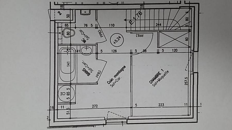LES FLOCONS D'ARGENT