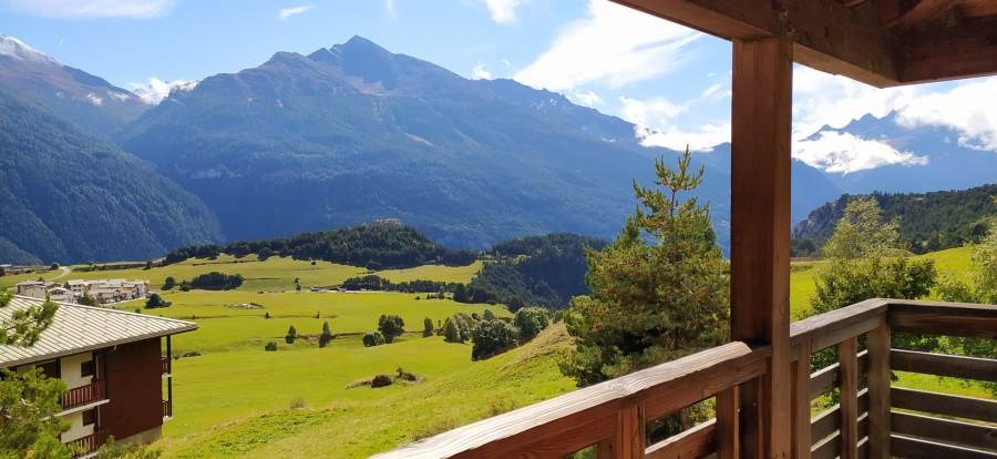 LES FLOCONS D'ARGENT