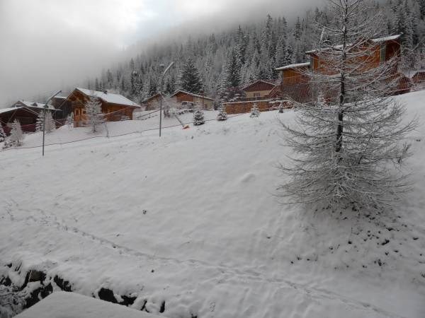 L'Epilobe des Chalets du Thabor