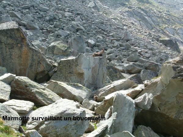 Les Chalets de la Vanoise - Immeuble N°5 