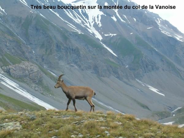 Les Chalets de la Vanoise - Immeuble N°5 