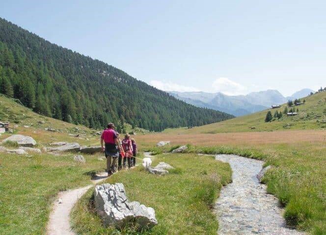 Les Airelles - n°32