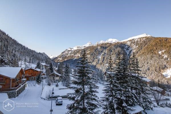 Résidence Le Chamois