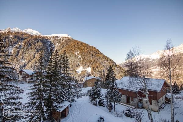 Résidence Le Chamois