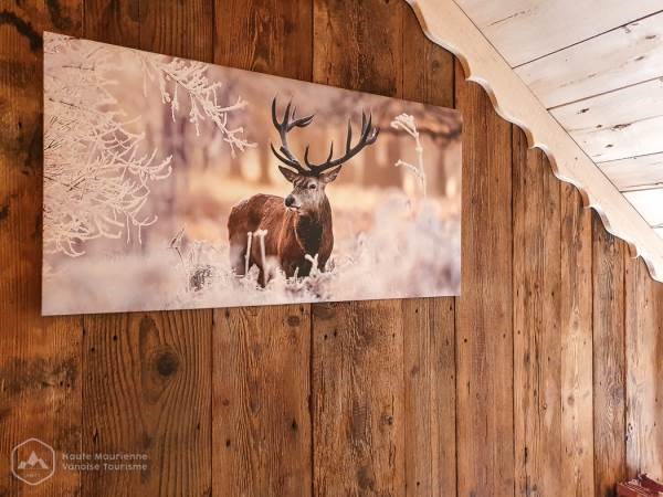 La Villa du Doron : L'Edelweiss , appartement  6 pers