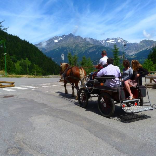 Résidence des Chalets d'Arrondaz - Chalet C "Sorbier"