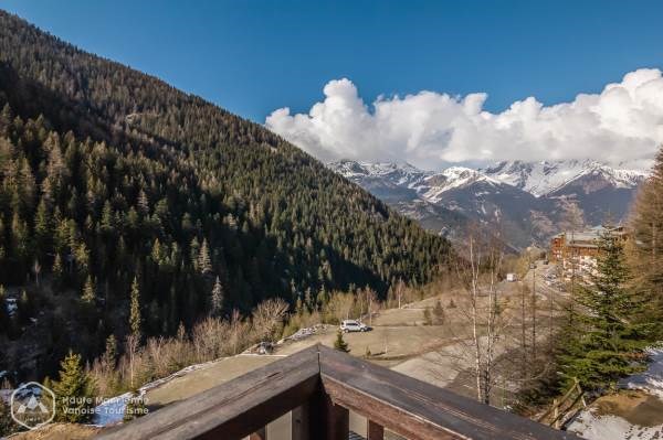 Les Chalets du Thabor - Apt n°273 B -