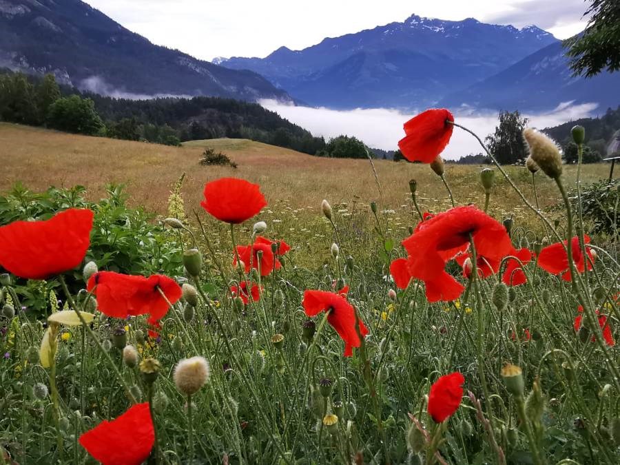 Résidence du Parc - VAL CENIS