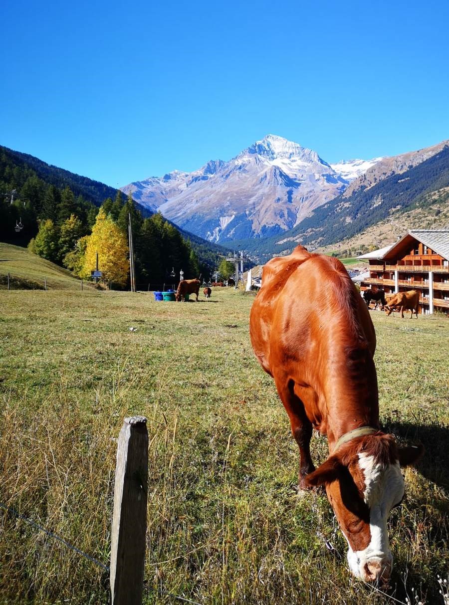 Les Valmonts de Val-Cenis - Le Balcon de la Parrachée