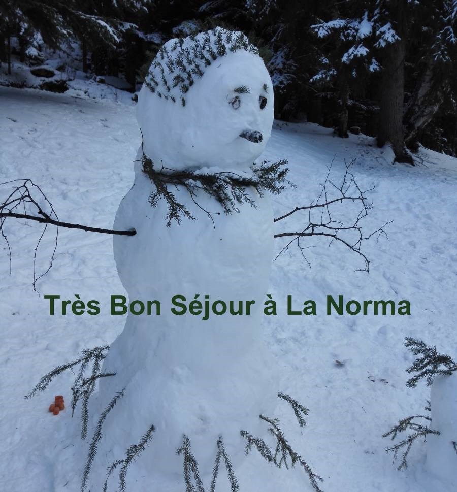 Les Chalets de la Vanoise - Bât 1 Le Rocher - apt 12