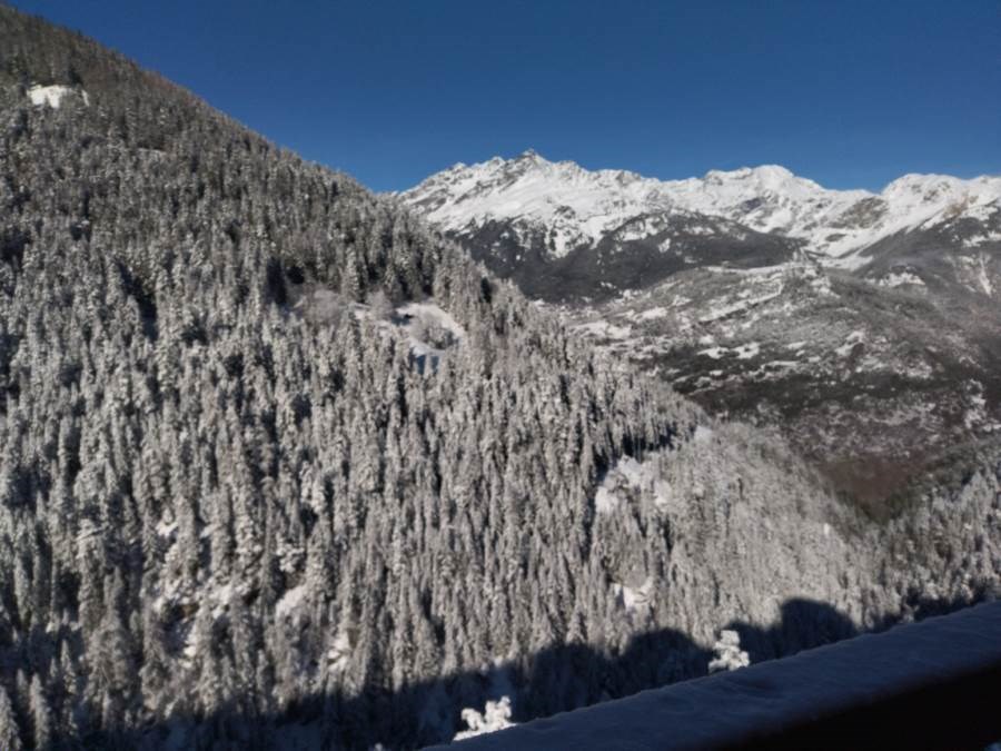 Le Grand Argentier - n°49