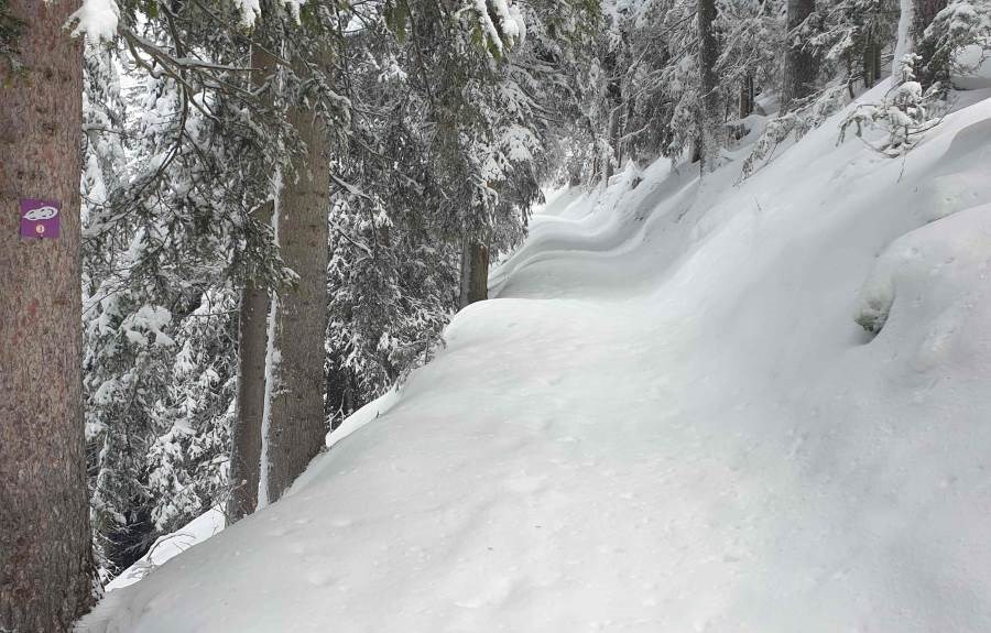 LA TURRA - Appt. 4/6pers - Piscine-Sauna, pied des pistes   