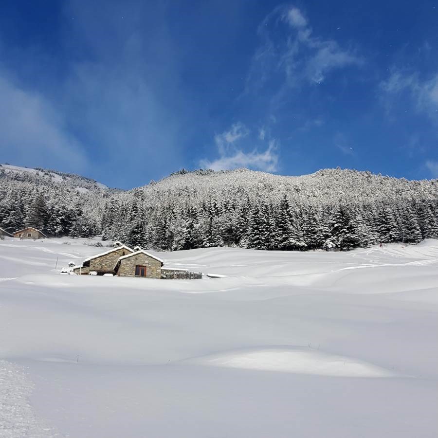 Le Chalet du Papote