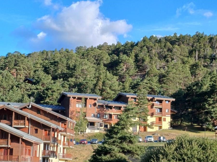 Les Campanules 