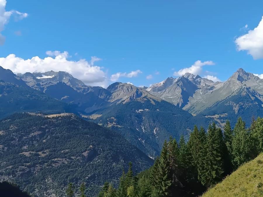 Les Chalets de Florence - Appart Valcosy 