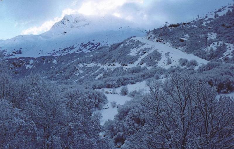 Chalet le Névé - Perce Neige