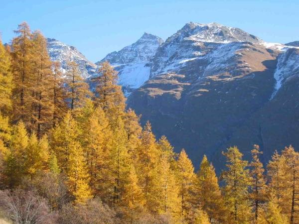 Le chalet de l'ilette