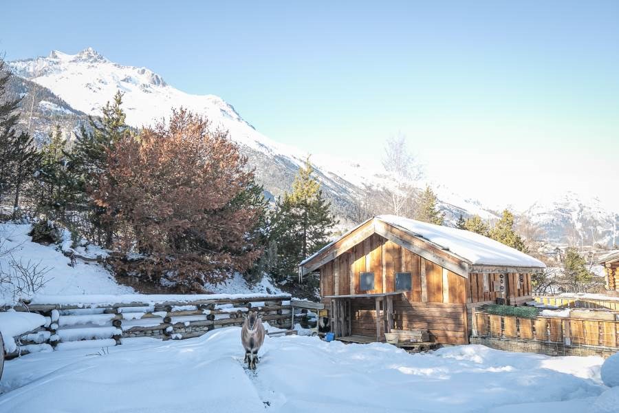 Cabanes & Yourtes de Montagne