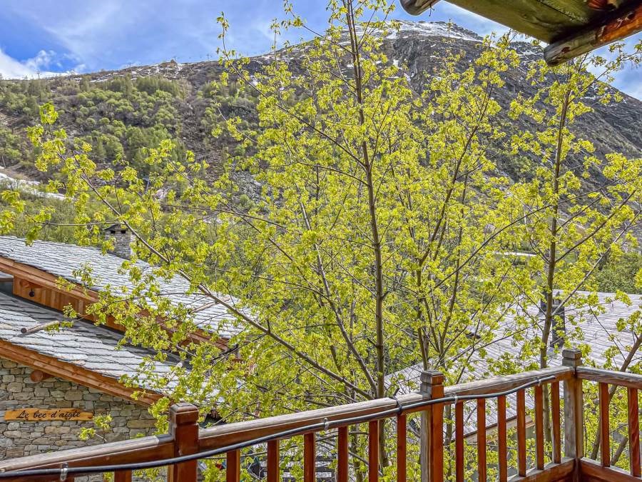 Chalet Le Névé - Gypaëte