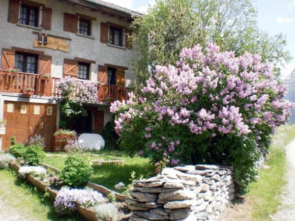 LES CLARINES - Les Clochettes