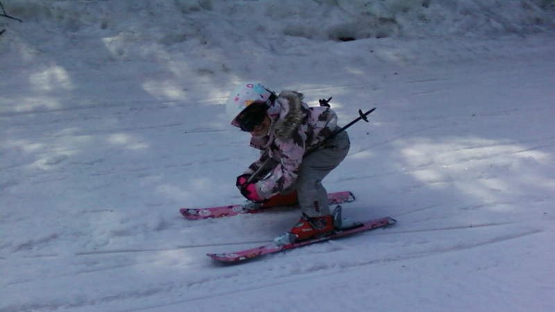 Cours de ski : 3 Heures